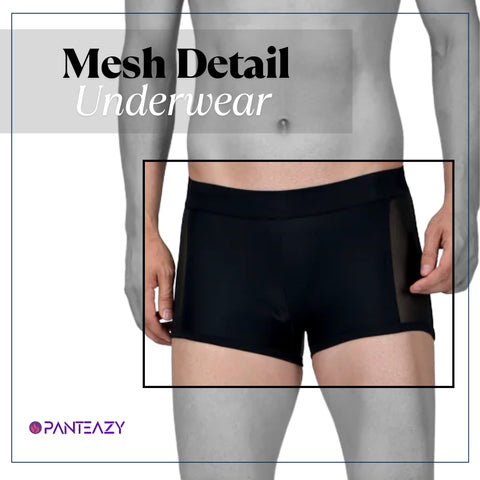 Panteazy's Menswear Side See Through Mesh Detail Stretchable Short Length Brief