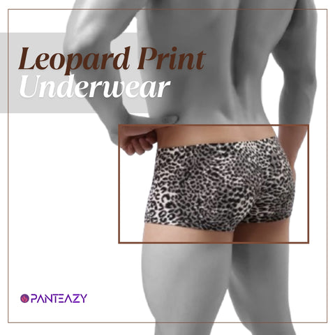 Panteazy's Men's Leopard Print Brief Underwear