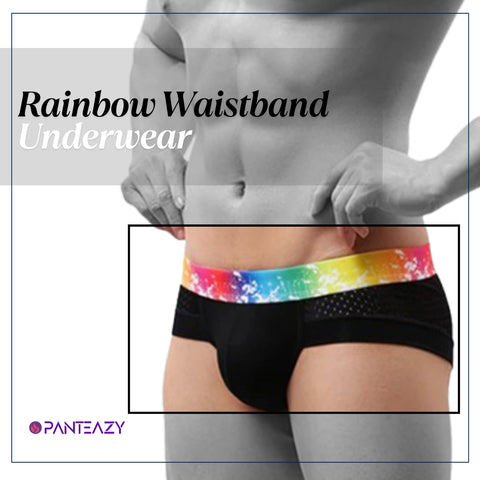 Panteazy's Colorful Rainbow Waistband Men's Underwear Boxer