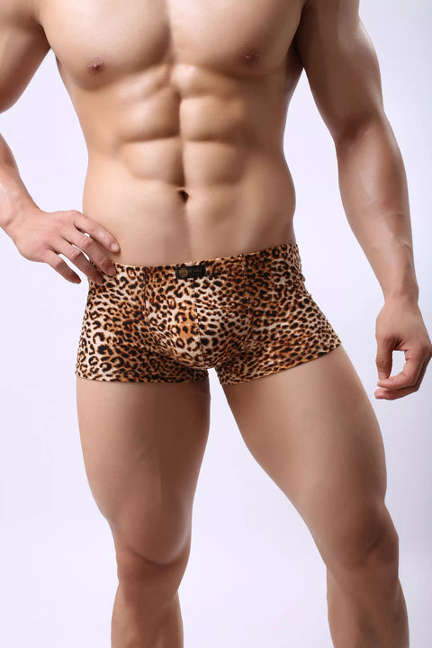 Panteazy's Men's Leopard Print Brief Underwear