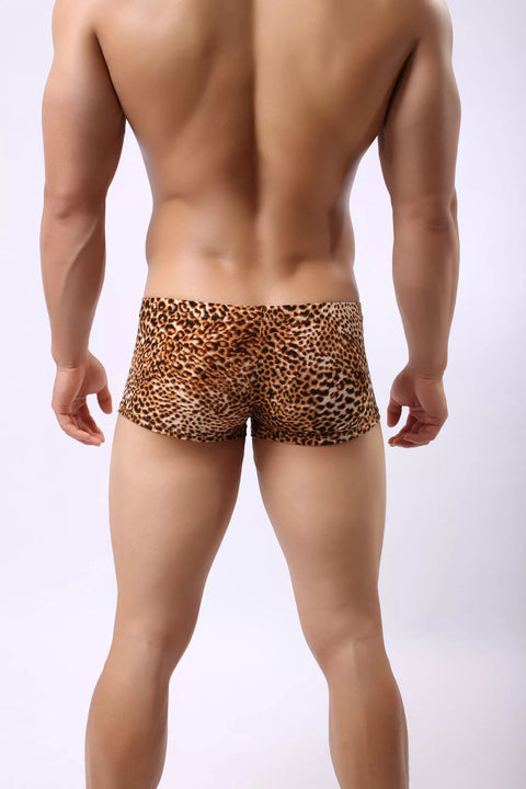 Panteazy's Men's Leopard Print Brief Underwear