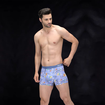 Briefs