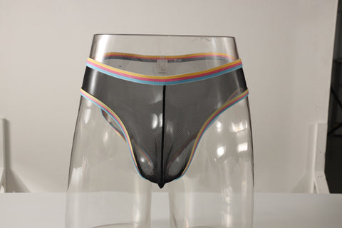 Men's Frenchie Transparent Panty with Rainbow Trim & Sheer Mesh Pouch Detail