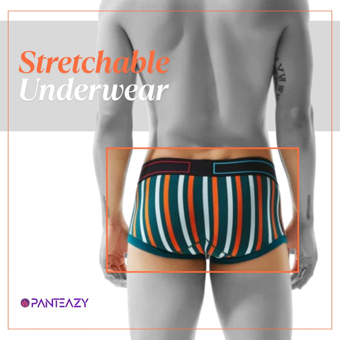 Panteazy's Menswear Stripe Print Design Stretchable Short Length Briefs
