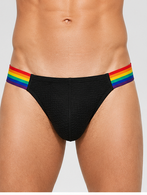 Men's Rainbow Pride Mesh Bikini Briefs - Black Low Rise Sexy Underwear