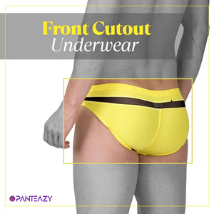 Panteazy Menswear Front Cutout Design with Mesh Details Low waist Nylon Spandex Frenchie Briefs