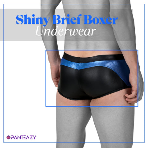 Panteazy's Shiny Brief Boxer for Men with Contrast details