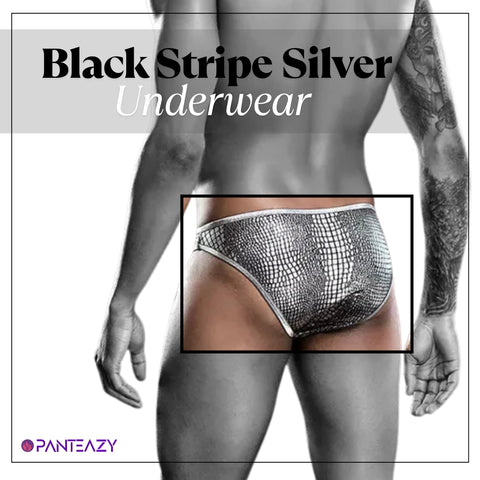 Panteazy's Men's Black Stripe Silver Print Brief Sexy Frenchie Underwear