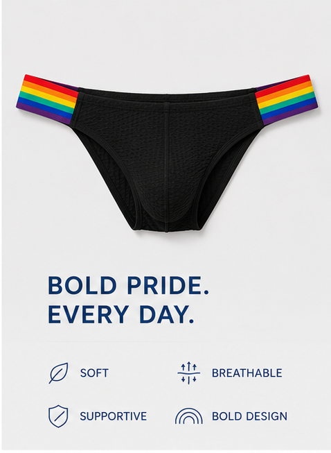 Men's Rainbow Pride Mesh Bikini Briefs - Black Low Rise Sexy Underwear