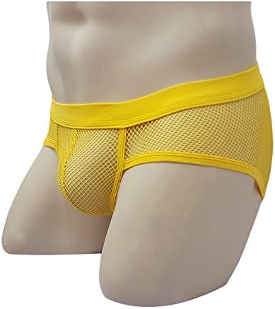 Panteazy's Men's See Through Mesh Frenchie Brief Underwear