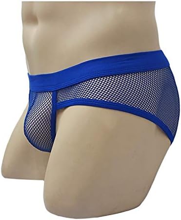 Panteazy's Men's See Through Mesh Frenchie Brief Underwear
