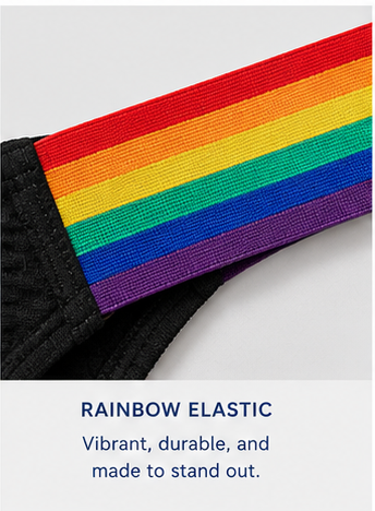 Men's Rainbow Pride Mesh Bikini Briefs - Black Low Rise Sexy Underwear