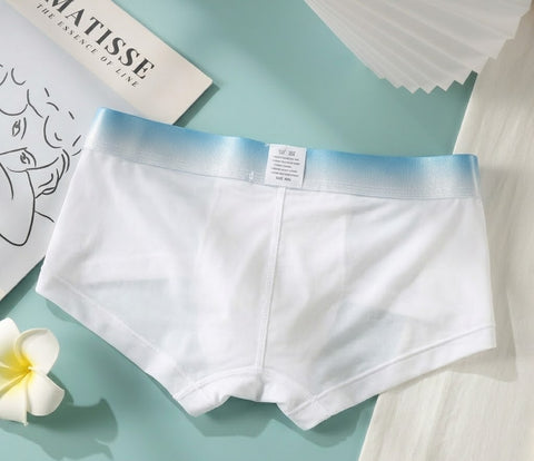 PANTEASY Men's Seamless Breathable Trunks - All-Day Comfort