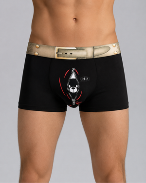 Funny printed boxer briefs trunks under 500