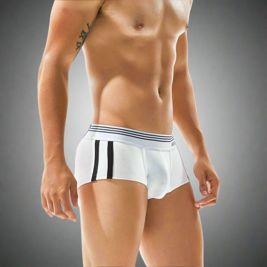Side Stripe Brief