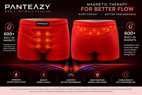 PANTEAZY Magnetic Boxer Briefs for Men – 600+ Magnetic Elements