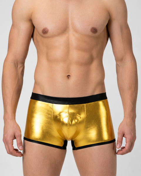 Men’s Shiny Boxer Briefs | Contrast Detail Fashion Underwear
