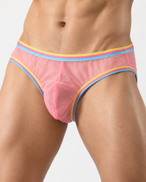 Men's Transparent Mesh Frenchie Briefs – Sheer Rainbow Trim Underwear