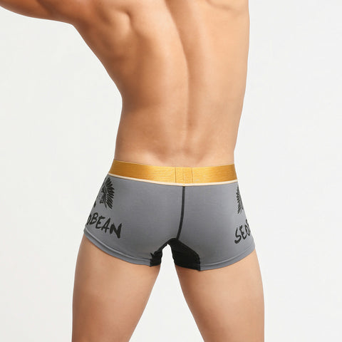 Men's Grey Boxer Briefs with Gold Waistband