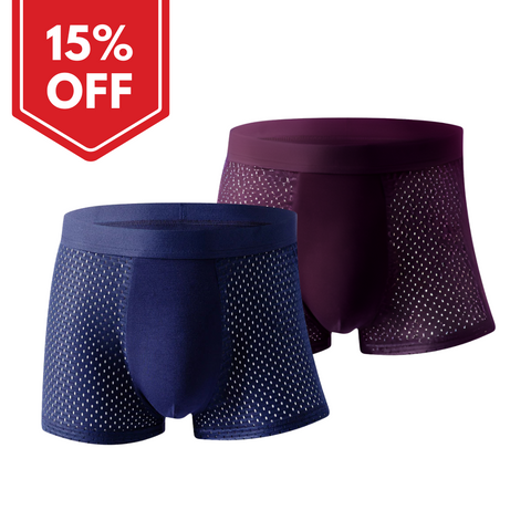 Pack of 2 ~ Panteazy's Men's Dot Ice Silk Underwear