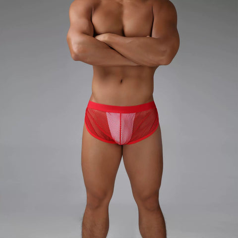 Men’s Sheer Mesh Underwear Brief Menswear