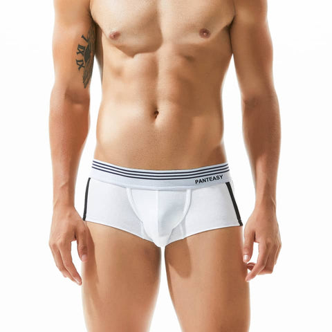 Panteazy's Menswear Side Stripe Print Design Stretchable Short Length Brief