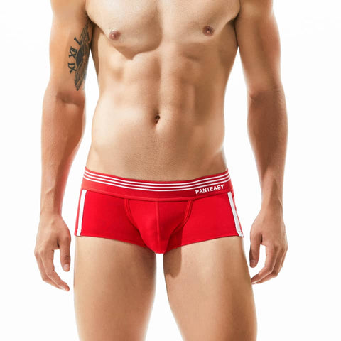 Panteazy's Menswear Side Stripe Print Design Stretchable Short Length Brief