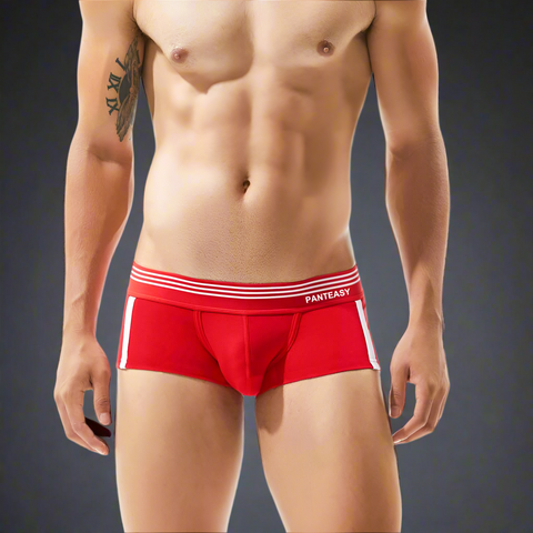 Panteazy's Menswear Side Stripe Print Design Stretchable Short Length Brief