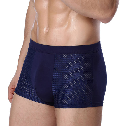 Pack of 2 ~ Panteazy's Men's Dot Ice Silk Underwear