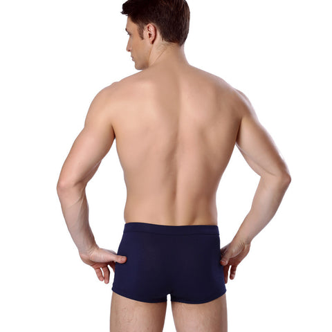 Pack of 2 ~ Panteazy's Men's Dot Ice Silk Underwear