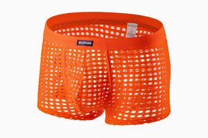 Panteazy's Men's Self Fabric Cut Mesh Hole See through Brief Underwear