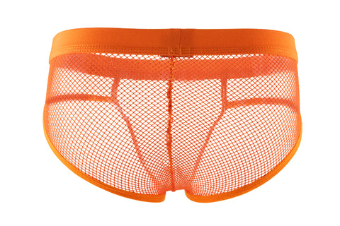 Panteazy's Men's See through Mesh Frenchie Brief Underwear – Panteazy  Retails LLP