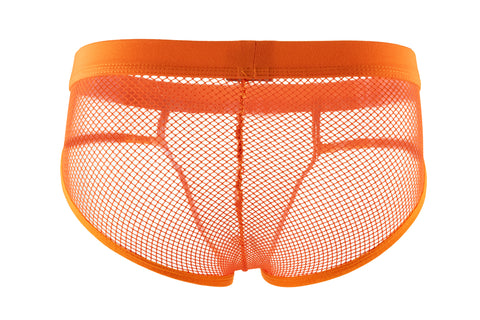 Panteazy's Men's See through Mesh Frenchie Brief Underwear