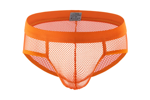 Panteazy's Men's See through Mesh Frenchie Brief Underwear