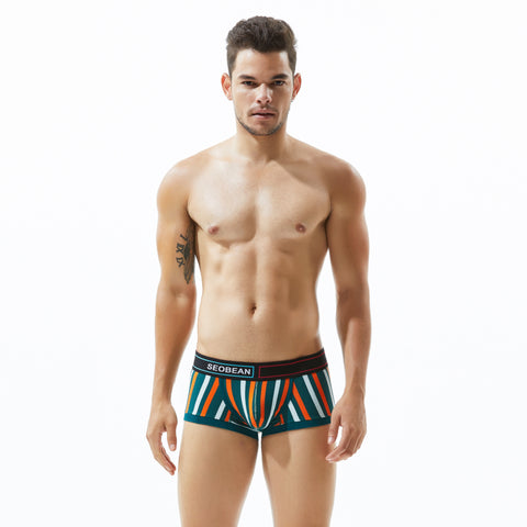 Pack of 3 ~ Panteazy's Menswear Stripe Print Design Stretchable Short Length Briefs