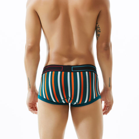 Pack of 3 ~ Panteazy's Menswear Stripe Print Design Stretchable Short Length Briefs