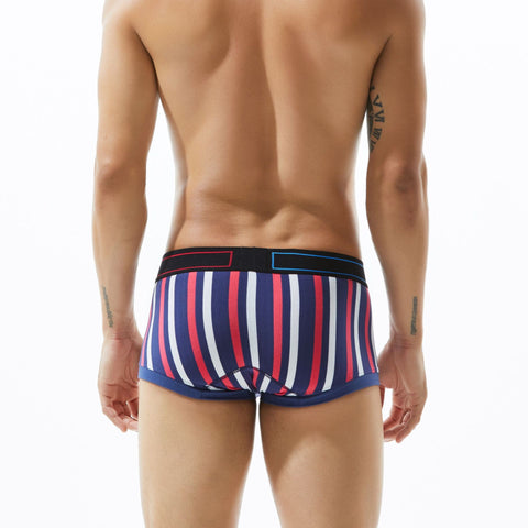 Pack of 3 ~ Panteazy's Menswear Stripe Print Design Stretchable Short Length Briefs