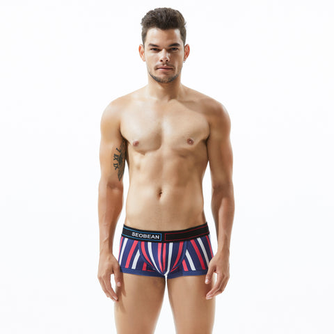 Pack of 3 ~ Panteazy's Menswear Stripe Print Design Stretchable Short Length Briefs