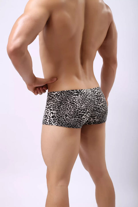 Panteazy's Men's Leopard Print Brief Underwear