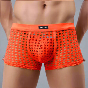 Panteazy's Men's Self Fabric Cut Mesh Hole See through Brief Underwear