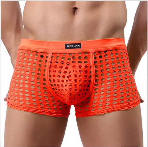 Men's See Through Briefs Boxer Shorts Transparent Mesh Pouch Underwear  Panties