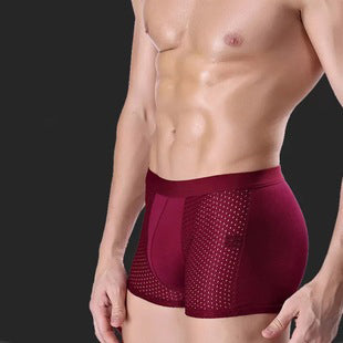Pack of 2 ~ Panteazy's Men's Dot Ice Silk Underwear